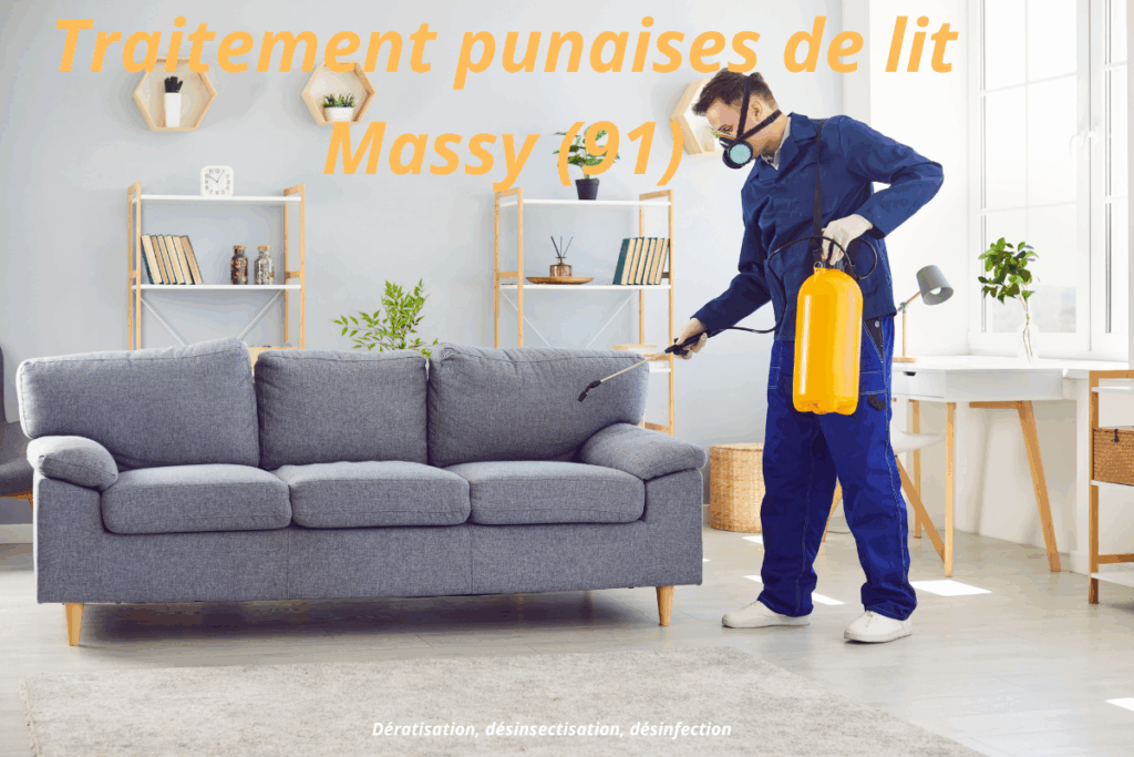traitement punaises de lit massy