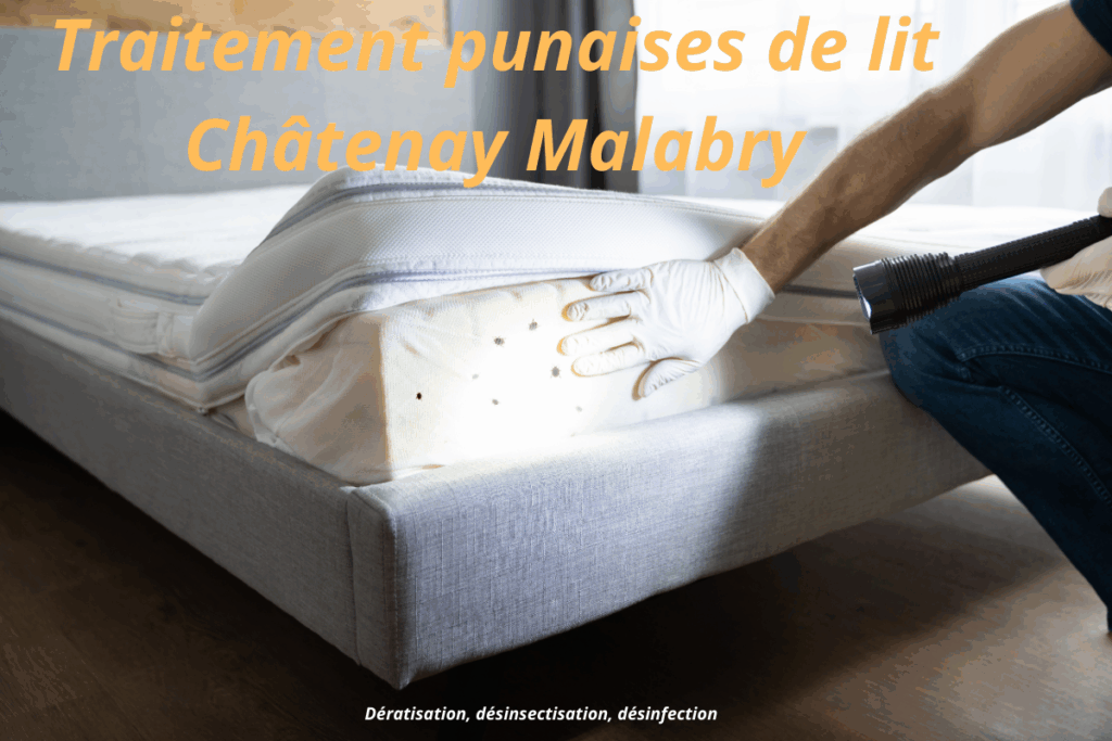 traitement punaises de lit chatenay malabry