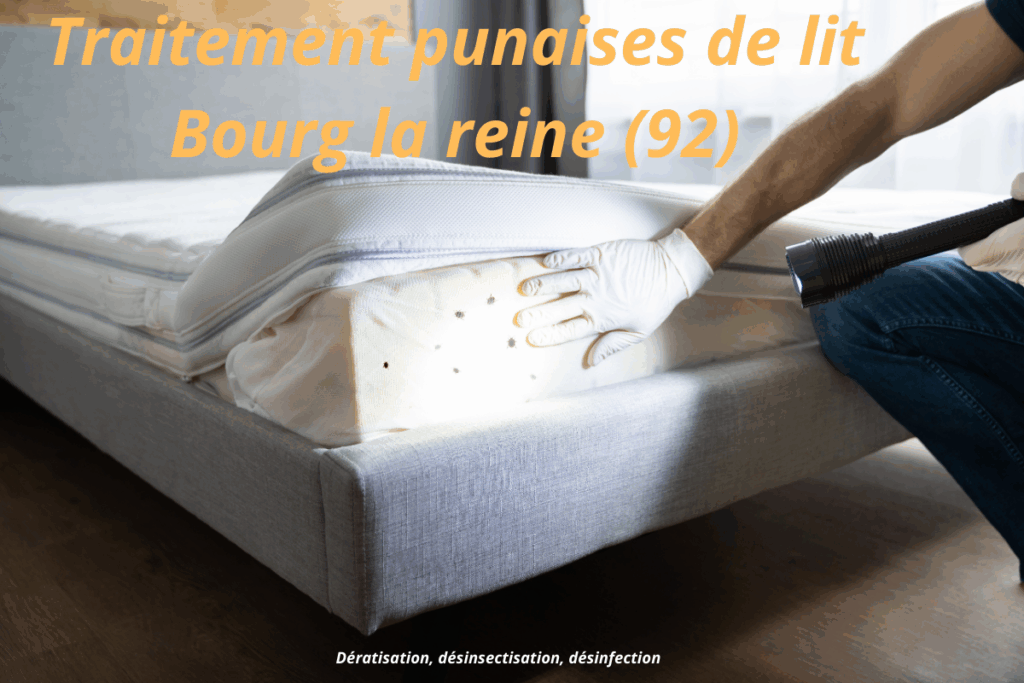 traitement punaises de lit bourg la reine (92)